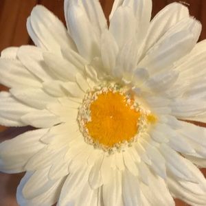 Meet your Posher, Nacole